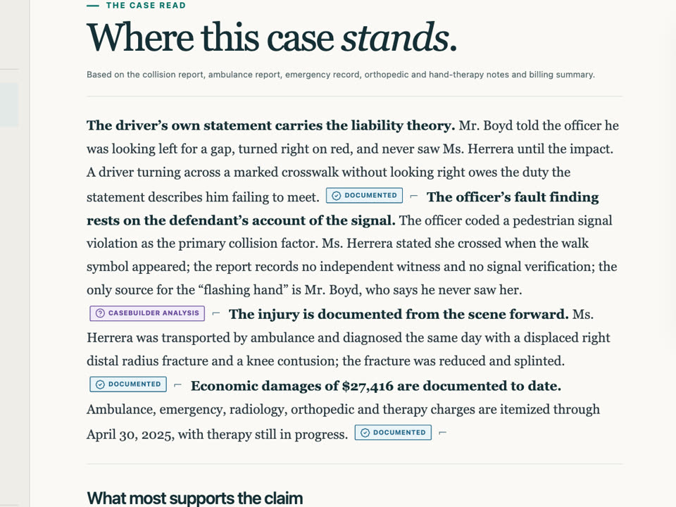 The case strategy CaseBuilder prepared from the record